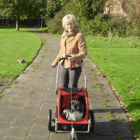 DoggyRide Mini 2020 Dog Bike Trailer | Red | Axle Coupling | Dutch Dog Design® - Pets Own Us - Dutch Dog - DRMNTR22-RD United Kingdom