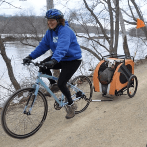 DoggyRide Novel 15 Dog Bike Trailer | Orange | Incl. Britch Lite | Dutch Dog Design® - Pets Own Us - Dutch Dog - DRN15TR22-OR United Kingdom