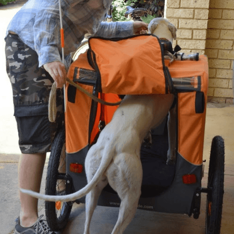 DoggyRide Novel 15 Dog Bike Trailer | Orange | Incl. Britch Lite | Dutch Dog Design® - Pets Own Us - Dutch Dog - DRN15TR22-OR United Kingdom