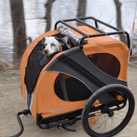 DoggyRide Novel 15 Dog Bike Trailer | Orange | Incl. Britch Lite | Dutch Dog Design® - Pets Own Us - Dutch Dog - DRN15TR22-OR United Kingdom