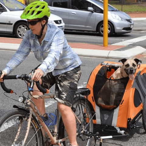 DoggyRide Novel 15 Dog Bike Trailer | Orange | Incl. Britch Lite | Dutch Dog Design® - Pets Own Us - Dutch Dog - DRN15TR22-OR United Kingdom