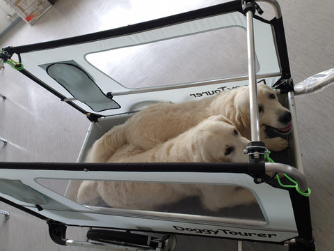 DoggyTourer | Dog Bike Trailer | Beethoven | XL - Pets Own Us - Doggy Tourer - KD-131000 United Kingdom