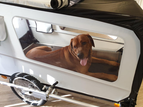 DoggyTourer | Dog Bike Trailer | Beethoven | XL - Pets Own Us - Doggy Tourer - KD-131000 United Kingdom