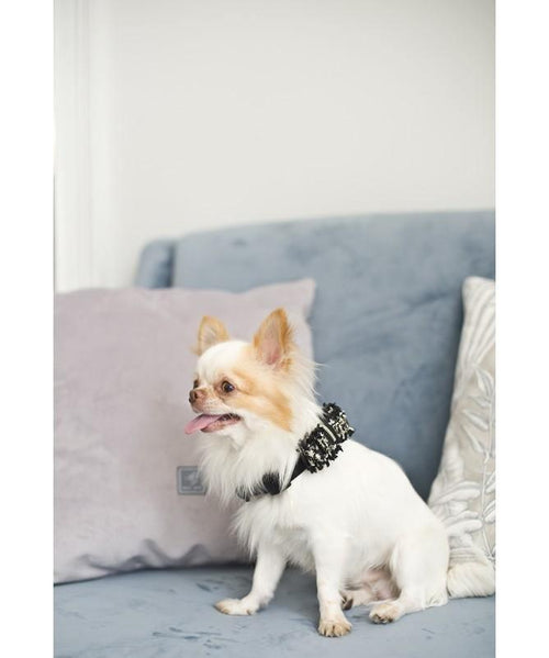 Elite Bowtie LUXURY by Oh Charlie - Black - Pets Own Us - Oh Charlie - United Kingdom