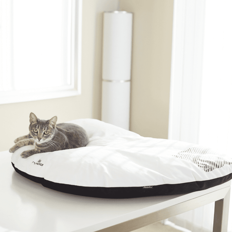 Emi Cat Bed by MyKotty - Pets Own Us - MyKotty - United Kingdom