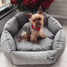 Finessa Pet Bed by Oh Charlie - Grey & Blue - Pets Own Us - Oh Charlie - United Kingdom