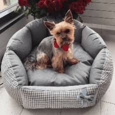 Finessa Pet Bed by Oh Charlie - Grey & Powder Pink - Pets Own Us - Oh Charlie - United Kingdom