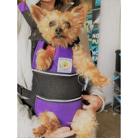 Front Pet Carrier from Safe to Shake - Pets Own Us - Wheels4Dogs - United Kingdom