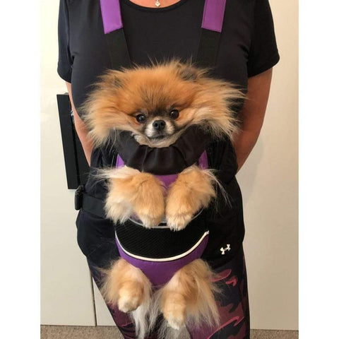 Front Pet Carrier from Safe to Shake - Pets Own Us - Wheels4Dogs - United Kingdom