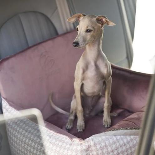 Glamour Car Seat LUXURY by Oh Charlie - Pink - Pets Own Us - Oh Charlie - United Kingdom