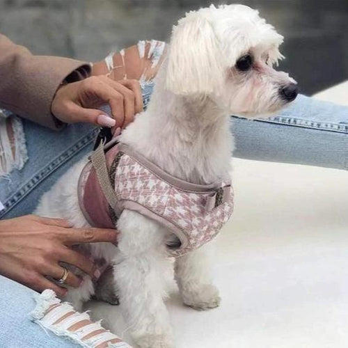 Glamour Harnesses by Oh Charlie - Pink - Pets Own Us - Oh Charlie - United Kingdom