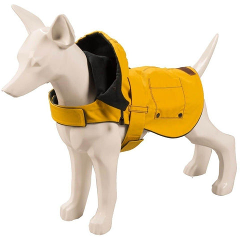 Hampstead Hoodie by Baker & Bray - Mustard/Gunmetal - Pets Own Us - Baker & Bray - BB-11-03-01-XS United Kingdom
