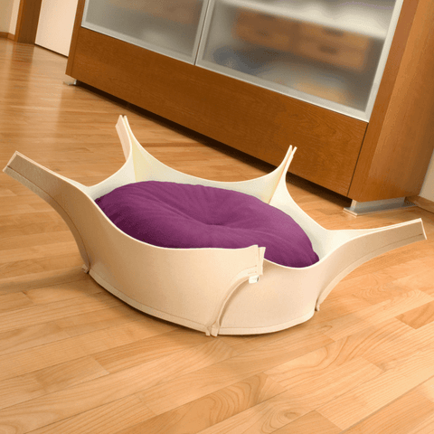 Harry Orthopedic Pet Bed - Cream Felt - Pets Own Us - Pet Interiors - United Kingdom