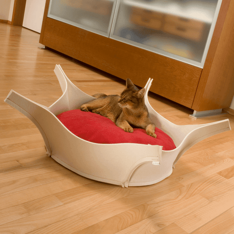 Harry Orthopedic Pet Bed - Cream Felt - Pets Own Us - Pet Interiors - United Kingdom