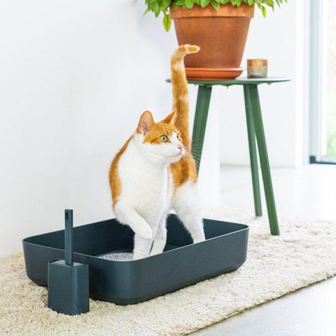 Hoopo® Poh Litter Box for Larger Cats | Grey - Pets Own Us - Hoopo - United Kingdom