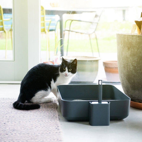 Hoopo® Poh Litter Box for Larger Cats | Grey - Pets Own Us - Hoopo - United Kingdom