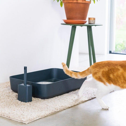 Hoopo® Poh Litter Box for Larger Cats | Grey - Pets Own Us - Hoopo - United Kingdom