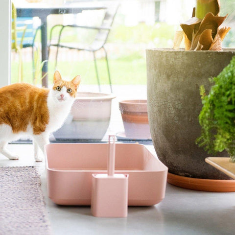 Hoopo® Poh Litter Box for Larger Cats | Pink - Pets Own Us - Hoopo - United Kingdom