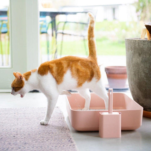 Hoopo® Poh Litter Box for Larger Cats | Pink - Pets Own Us - Hoopo - United Kingdom
