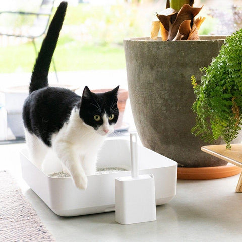 Hoopo® Poh Litter Box for Larger Cats | White - Pets Own Us - Hoopo - United Kingdom