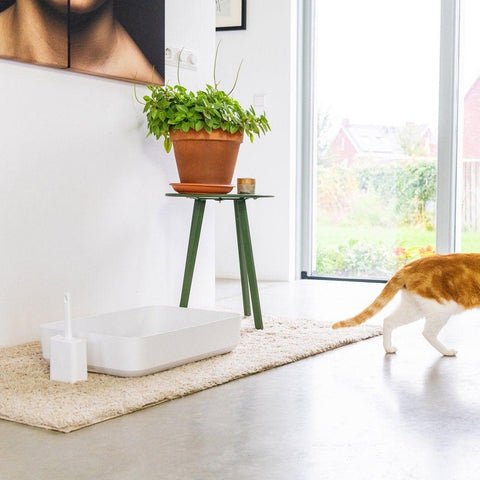 Hoopo® Poh Litter Box for Larger Cats | White - Pets Own Us - Hoopo - United Kingdom