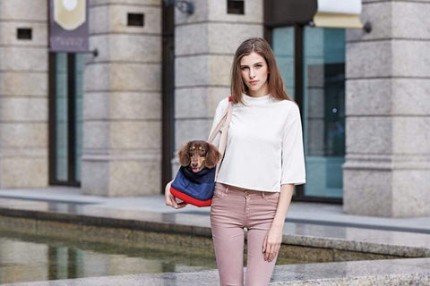 Ibiyaya® Breathable Dachshund Carrier Navy - Pets Own Us - Ibiyaya - FC1526-D-B United Kingdom