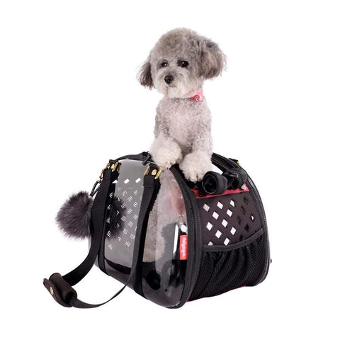 Ibiyaya® Hardshell Travel Pet Carrier | Transparent Black - Pets Own Us - Ibiyaya - FC1620-BL United Kingdom