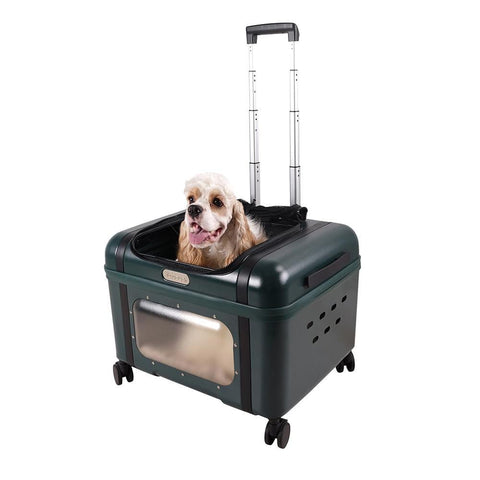 Ibiyaya® Lavada Pet Roller Carrier & Transporter | Green - Pets Own Us - Ibiyaya - FC2012-G United Kingdom