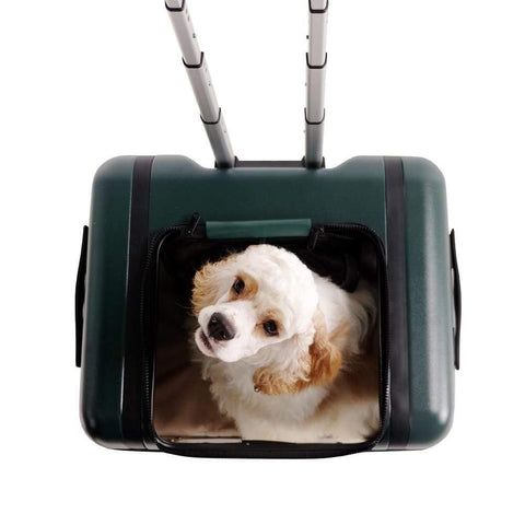 Ibiyaya® Lavada Pet Roller Carrier & Transporter | Green - Pets Own Us - Ibiyaya - FC2012-G United Kingdom
