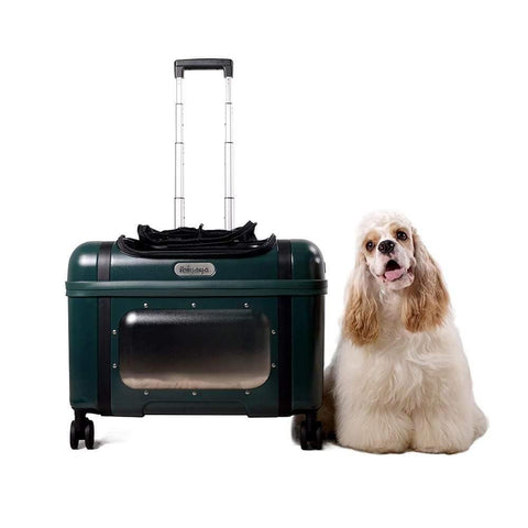 Ibiyaya® Lavada Pet Roller Carrier & Transporter | Green - Pets Own Us - Ibiyaya - FC2012-G United Kingdom