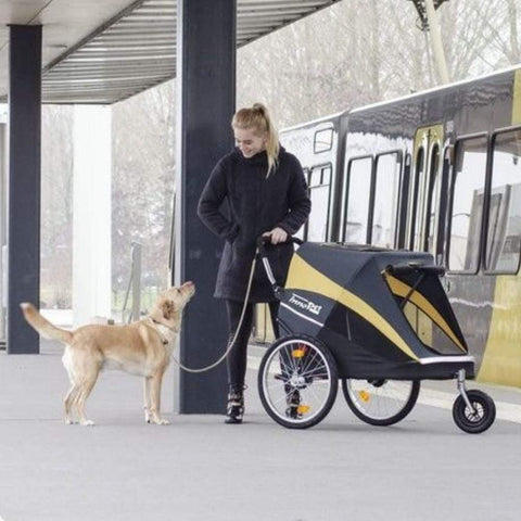 Innopet® Hercules 2.0 XL Dog Pram | >50kgs | Free Rain Cover | Grey/Yellow | 2-Year Extended Warranty - Pets Own Us - Innopet - IPS-060/B United Kingdom