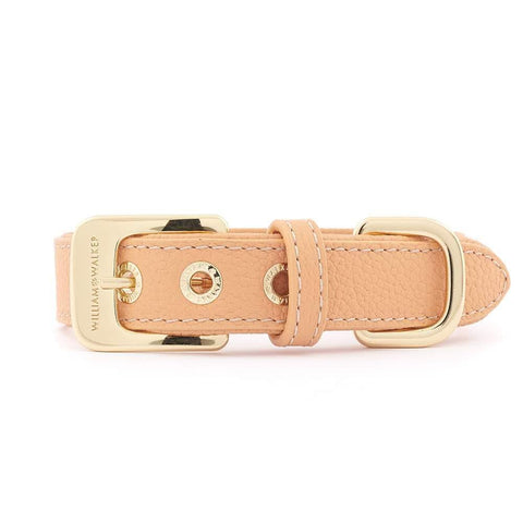 Leather Dog Collar by William Walker | Nappa | Orange - Pets Own Us - William Walker - United Kingdom