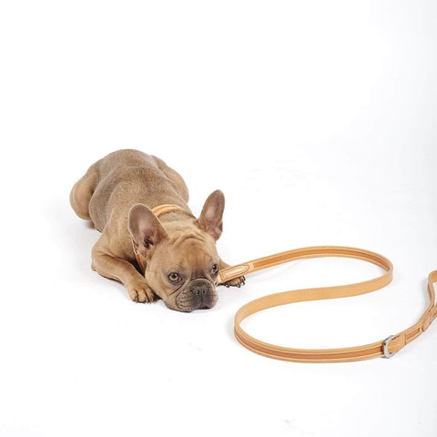 Leather Dog Leash by William Walker | La Nobile | Classico - Pets Own Us - William Walker - United Kingdom