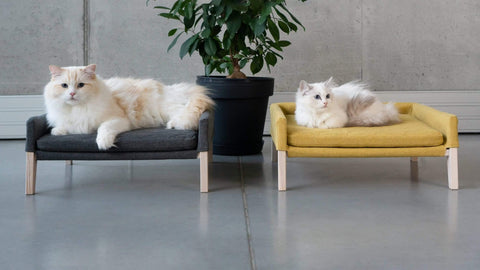 Lulu Bed By Labbvenn - Anthracite - Pets Own Us - Labbvenn - United Kingdom