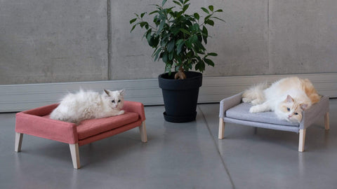 Lulu Bed By Labbvenn - Raspberry - Pets Own Us - Labbvenn - United Kingdom