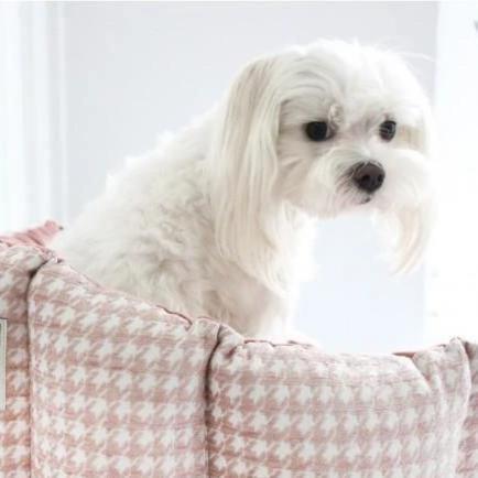 Luxury Glamour Pet Bed by Oh Charlie - Pink - Pets Own Us - Oh Charlie - United Kingdom