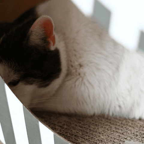 Mia Reversible Cat Cave by MyKotty - Pets Own Us - MyKotty - United Kingdom