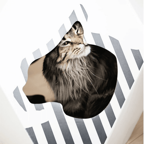 Mia Reversible Cat Cave by MyKotty - Pets Own Us - MyKotty - United Kingdom
