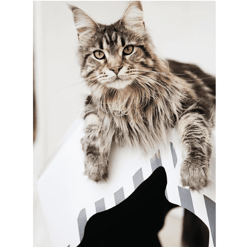 Mia Reversible Cat Cave by MyKotty - Pets Own Us - MyKotty - United Kingdom