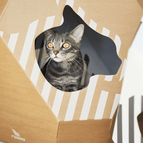 Mia Reversible Cat Cave by MyKotty - Pets Own Us - MyKotty - United Kingdom