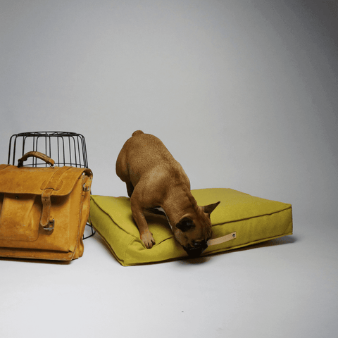 MØVIK Luxury Dog Bed by Labbvenn in Honey - Pets Own Us - Labbvenn - United Kingdom