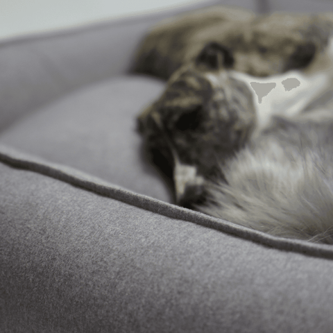 MØVIK Luxury Dog Bed by Labbvenn in Light Anthracite - Pets Own Us - Labbvenn - United Kingdom