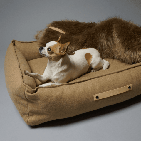 MØVIK Luxury High Side Dog Bed by Labbvenn in Biscuit - Pets Own Us - Labbvenn - United Kingdom