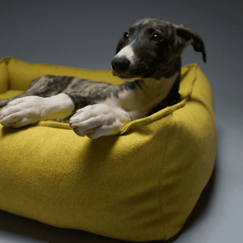 MØVIK Luxury High Side Dog Bed by Labbvenn in Honey - Pets Own Us - Labbvenn - United Kingdom