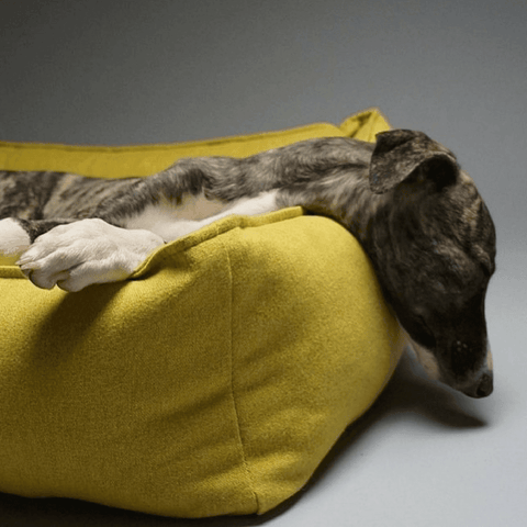 MØVIK Luxury High Side Dog Bed by Labbvenn in Honey - Pets Own Us - Labbvenn - United Kingdom