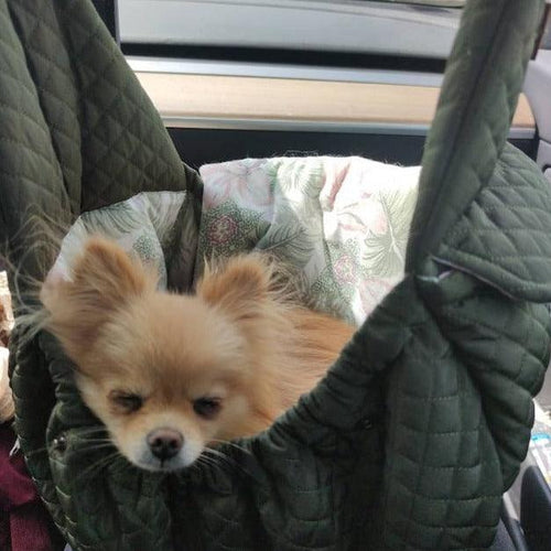 Muffin & Berry Sling Dog Carrier and Travel Bag - Annie - Pets Own Us - Muffin & Berry - United Kingdom