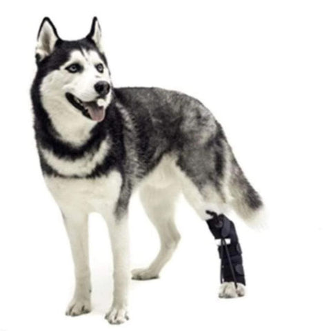 No-Knuckling Training Sock - Pets Own Us - Wheels4Dogs - United Kingdom
