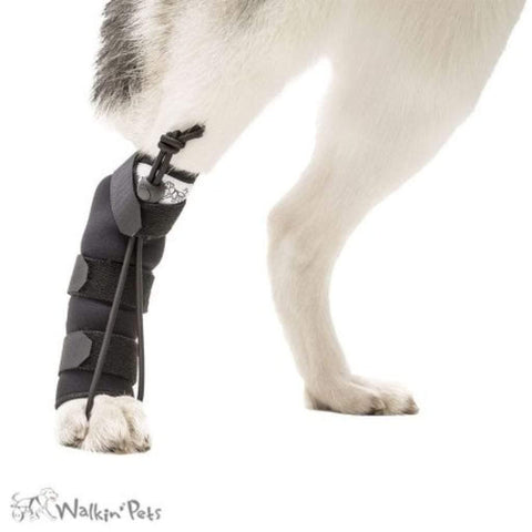 No-Knuckling Training Sock - Pets Own Us - Wheels4Dogs - United Kingdom