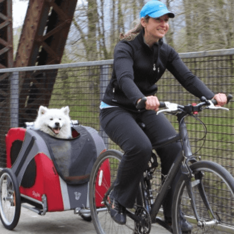 Novel DoggyRide Dog Bike Trailer by Dutch Dog - Red - Pets Own Us - Dutch Dog - DRNVTR22-RD United Kingdom
