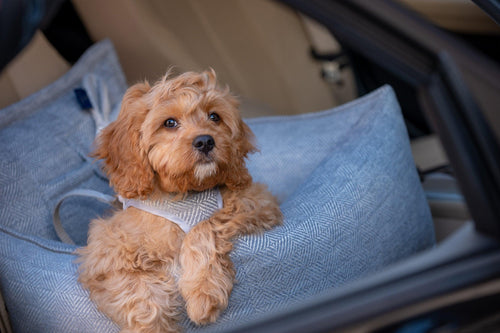 Oh Charlie Luxury Dog Car Seat | Florence - Pets Own Us - Oh Charlie - United Kingdom